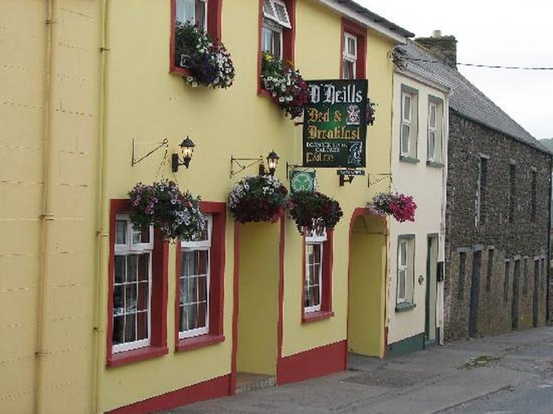 O Neills Bed And Breakfast ディングル エクステリア 写真